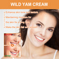 1529c07e15ef6a2844064979b00de802